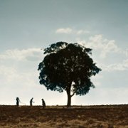 Pili - galeria zdjęć - filmweb