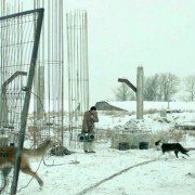 Pod elektricheskimi oblakami - galeria zdjęć - filmweb