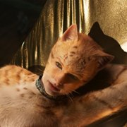 Cats - galeria zdjęć - filmweb