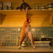 Cats - galeria zdjęć - filmweb