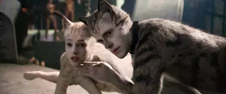 Koty - galeria zdjęć - filmweb