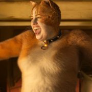 Cats - galeria zdjęć - filmweb