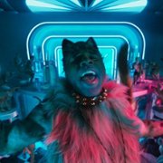 Cats - galeria zdjęć - filmweb