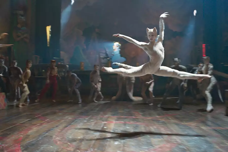 Koty - galeria zdjęć - filmweb