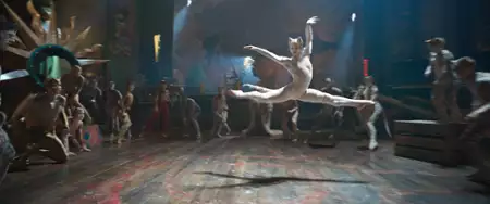 Koty - galeria zdjęć - filmweb