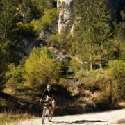 Explore Freedom - galeria zdjęć - filmweb