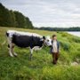 Moja przyjaci&oacute;łka krowa - galeria zdjęć