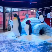 Czy to ciasto? Święta - galeria zdjęć - filmweb