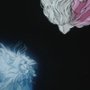 Angel's Egg - galeria zdjęć