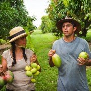 The Fruit Hunters - galeria zdjęć - filmweb