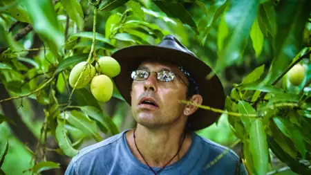 Łowcy owoc&oacute;w - galeria zdjęć - filmweb