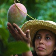 The Fruit Hunters - galeria zdjęć - filmweb