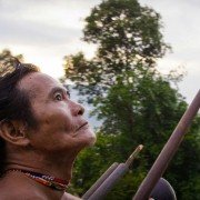 The Fruit Hunters - galeria zdjęć - filmweb