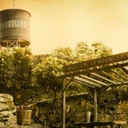 The Fruit Hunters - galeria zdjęć - filmweb