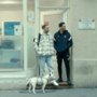 Das gelbe Fahrrad - galeria zdjęć