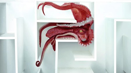 Sezon 1 Odcinek 4 Octopus vs Underwater Maze