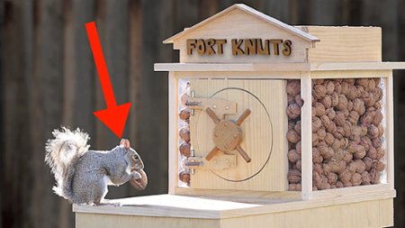 Sezon 3 Odcinek 2 Backyard Squirrel 2.0 - Bank Heist
