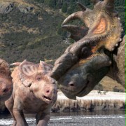 Dinostory