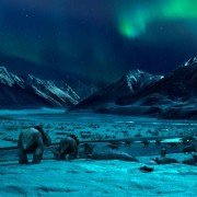 Walking with Dinosaurs - galeria zdjęć - filmweb