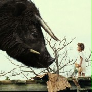 Beasts of the Southern Wild - galeria zdjęć - filmweb