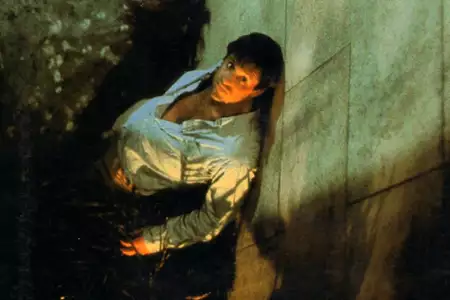 Oko kota - galeria zdjęć - filmweb