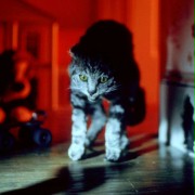 Cat's Eye - galeria zdjęć - filmweb