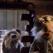 Fraggle Rock: Back to the Rock - galeria zdjęć - filmweb