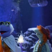 Fraggle Rock: Back to the Rock - galeria zdjęć - filmweb