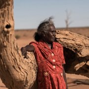 Operation Buffalo - galeria zdjęć - filmweb