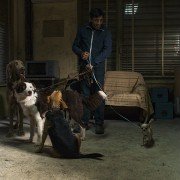 Dogman - galeria zdjęć - filmweb