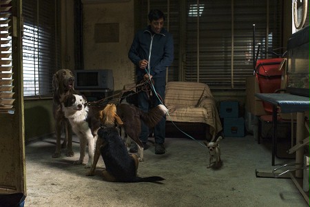 Dogman - galeria zdjęć - filmweb