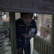 Dogman - galeria zdjęć - filmweb