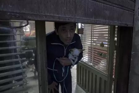 Dogman - galeria zdjęć - filmweb