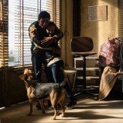Dogman - galeria zdjęć - filmweb