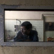 Dogman - galeria zdjęć - filmweb