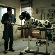 Dogman - galeria zdjęć - filmweb
