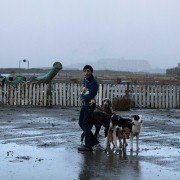 Dogman - galeria zdjęć - filmweb