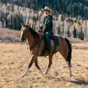 Marshals: Historia z Yellowstone - galeria zdjęć - filmweb