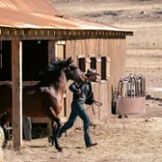 Marshals: Historia z Yellowstone - galeria zdjęć - filmweb