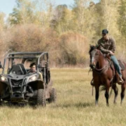Marshals: Historia z Yellowstone - galeria zdjęć - filmweb