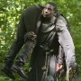 Robin Hood - galeria zdjęć