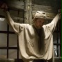Robin Hood - galeria zdjęć