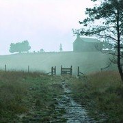 A Monster Calls - galeria zdjęć - filmweb