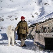 Belle et Sébastien 3, le dernier chapitre - galeria zdjęć - filmweb