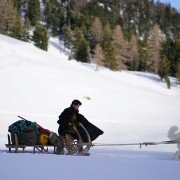 Belle et Sébastien 3, le dernier chapitre - galeria zdjęć - filmweb