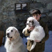 Belle et Sébastien 3, le dernier chapitre - galeria zdjęć - filmweb