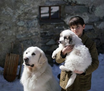 Recenzja Bella i Sebastian 3