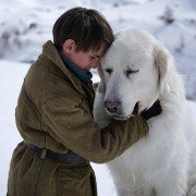 Belle et Sébastien 3, le dernier chapitre - galeria zdjęć - filmweb