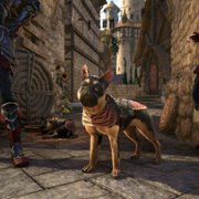 The Elder Scrolls Online: High Isle - galeria zdjęć - filmweb