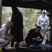 Ellis - galeria zdjęć - filmweb